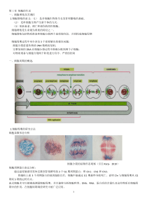 高中生物竞赛细胞的生活