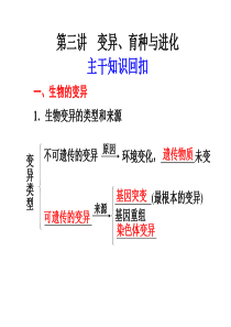 高中生物变异育种进化