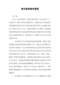 青年教师教学感悟