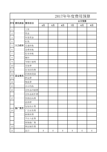 2017年年度费用预算表