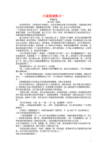 小说阅读练习一二及答案