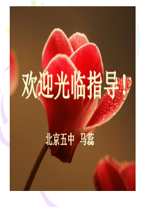 降低化学反应活化能的酶公开课