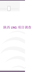 陕西LNG项调查