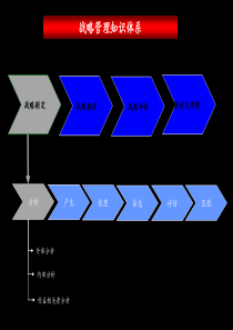 麦肯锡战略管理知识体系.