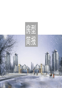 经典住宅房型简报(powerpoint版)