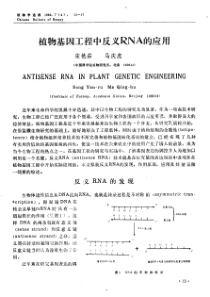 植物基因工程中反义DNA的应用