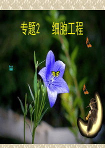 植物细胞工程(适用于尖子班,普通理科班)