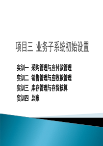 项目三业务子系统初始设置.