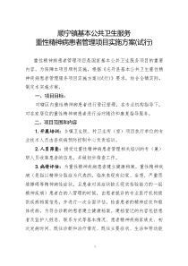 顺宁镇重性精神病患者管理方案