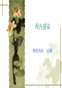 颅内感染2.