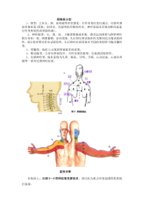 颈椎病鉴别1