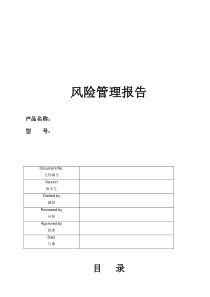 风险管理报告模板-htw-201111