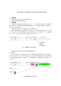 重组DNA在大肠杆菌中的诱导表达及菌的破碎