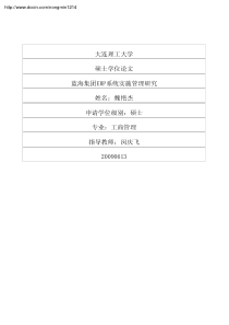 蓝海集团ERP系统实施管理研究