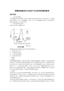 骨骼肌细胞动作点位的产生对肌肉收缩的影响