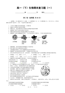 高一(下)生物期末复习题(一)