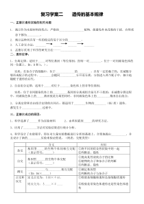 高一下学期生物期中复习遗传专题