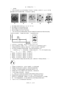 高一生物必修二综合试题