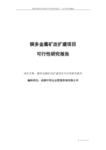 铜多金属矿改扩建项目可行性研究报告