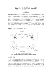 酶在科学前沿中的应用