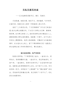 镇委书记先进事迹材料无私无畏写忠诚记分盐镇党委副书记镇长张继文