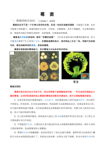 霉菌的特点生长时间温度和控制措施