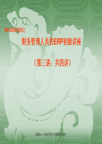 财务管理人员的ERP初级讲座(3)