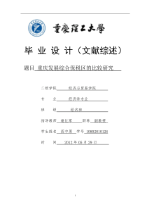 重庆发展综合保税区的比较研究的文献综述