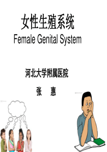 女性生殖系统解剖ppt