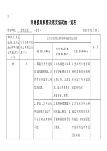 问题梳理和整改落实情况的一览表