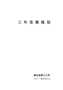 靖边第九小学三年发展规划