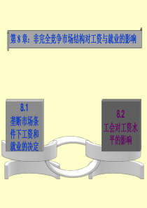 非完全竞争市场结构对工资与就业的影响