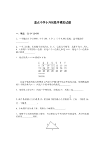 重点中学小升初数学模拟试题_11463