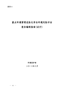 重点环境管理危险化学品环境风险评估报告编制指南