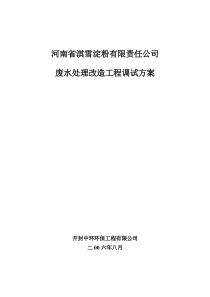 河南省淇雪淀粉有限责任公司废水处理改造工程调试方案