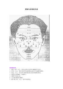 面相与身体的关系