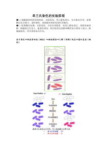 革兰氏染色的实验原理