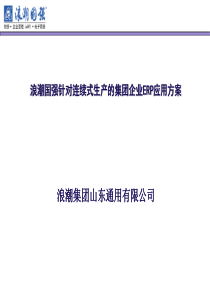 连续式生产企业ERP应用方案