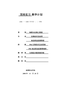 顶岗实习教学计划[1]