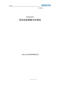 项目实施策略分析报告--模板大纲