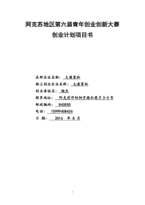 阿克苏大漠家私项目计划书(修改)8月13日