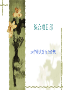 项目运行方案