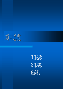 项目进展情况工作汇报模板