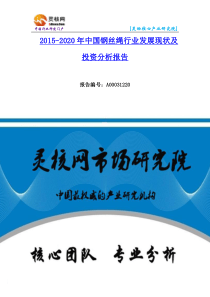 钢丝绳市场发展现状调研及投资分析报告—灵核网