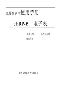 金算盘eERP-B电子表手册