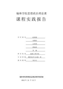 马克思主义基本原理概论课程实践报告