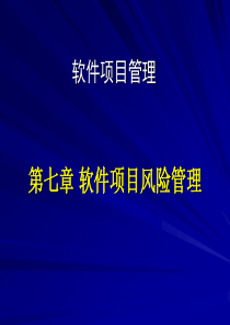 软件项目风险管理.