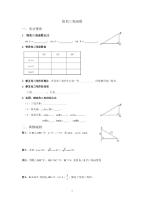 锐角三角函数(总复习)