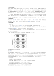 输血操作规程