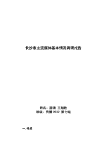 长沙市主流媒体基本情况调研报告